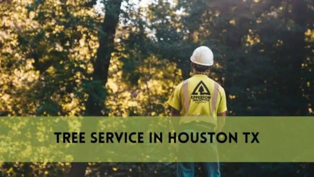Tree Services in Houston TX