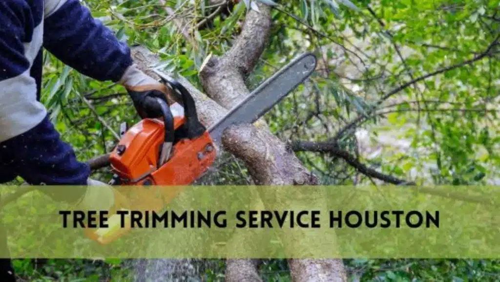 Tree Trimming Service Houston