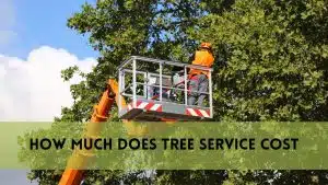 How Much Does Tree Service Cost