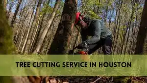 Tree Cutting Service Houston