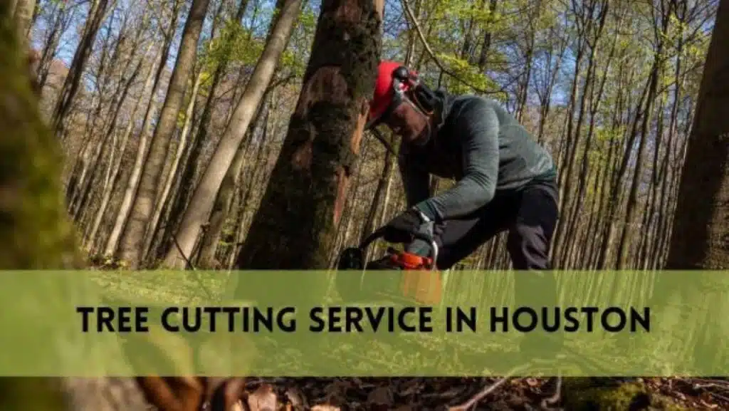 Tree Cutting Service