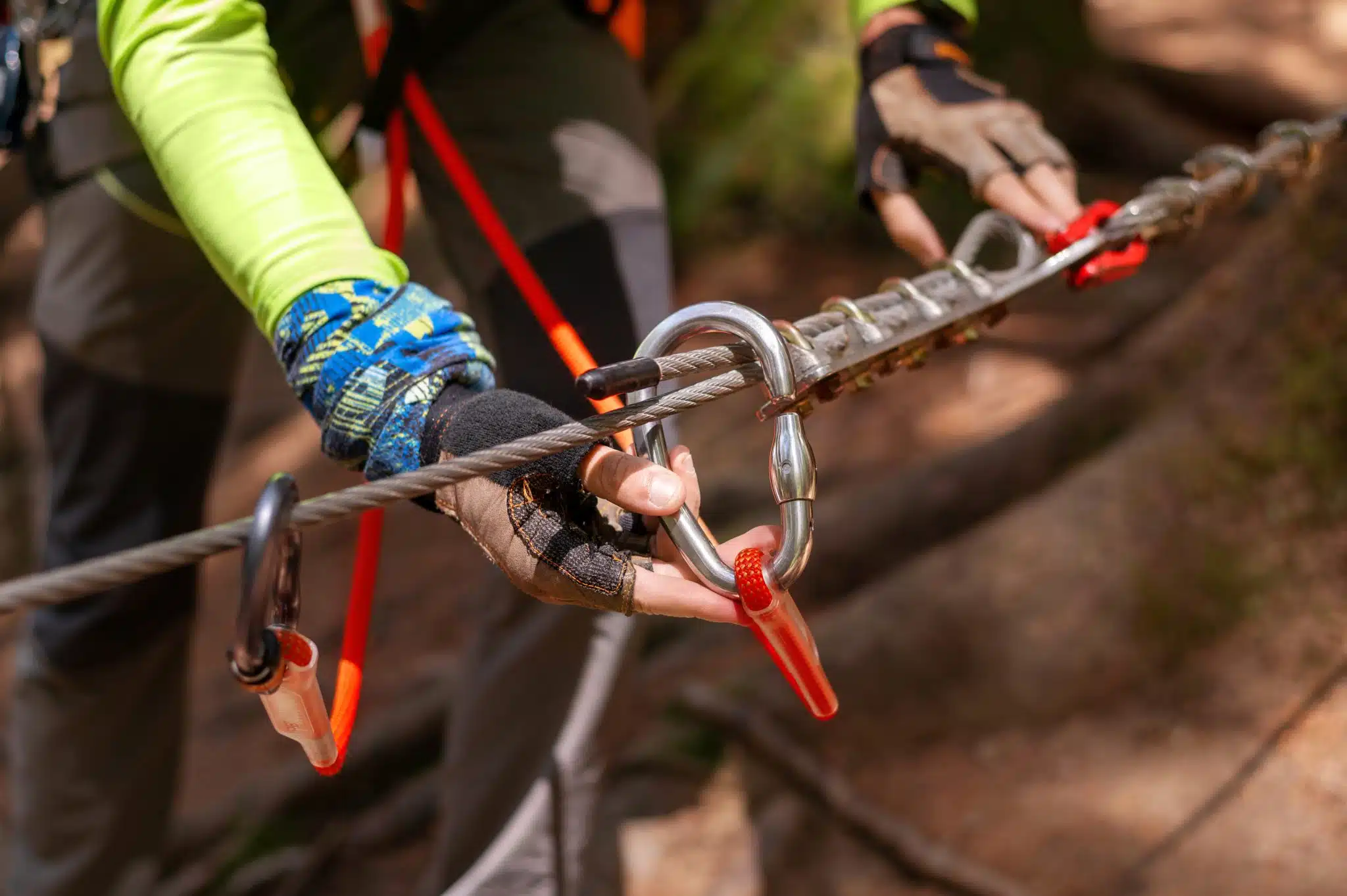 tree cabling and bracing