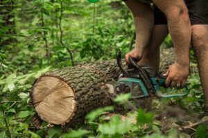 How to Cut Down a Tall Tree by Yourself?